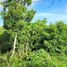  Terreno (Parcela) en venta en Cancún, Quintana Roo, Cancún