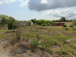  Terreno (Parcela) en venta en Medellin, Veracruz, Medellin, Veracruz