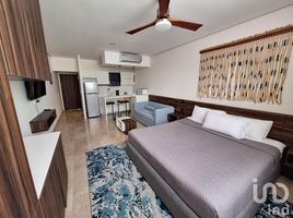 Appartement 1 chambre à louer à Cozumel, Quintana Roo, Cozumel