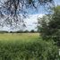 Land for sale in Pabellon De Arteaga, Aguascalientes, Pabellon De Arteaga