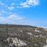  Land for sale in Elota, Sinaloa, Elota