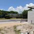  Land for sale in Cozumel, Quintana Roo, Cozumel, Quintana Roo