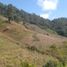  Land for sale in Villa Corzo, Chiapas, Villa Corzo