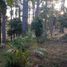  Land for sale in Teopisca, Chiapas, Teopisca