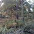  Land for sale in Teopisca, Chiapas, Teopisca