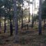 Land for sale in Teopisca, Chiapas, Teopisca