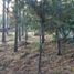  Land for sale in Teopisca, Chiapas, Teopisca