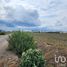  Land for sale in Tlahuac, Mexico City, Tlahuac
