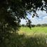  Land for rent in Apodaca, Nuevo Leon, Apodaca