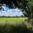  Land for rent in Apodaca, Nuevo Leon, Apodaca