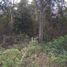  Terreno (Parcela) en venta en Felipe Carrillo Puerto, Quintana Roo, Felipe Carrillo Puerto