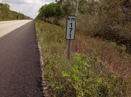  Terreno (Parcela) en venta en Felipe Carrillo Puerto, Quintana Roo, Felipe Carrillo Puerto