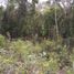  Terreno (Parcela) en venta en Felipe Carrillo Puerto, Quintana Roo, Felipe Carrillo Puerto