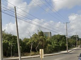  Grundstück zu verkaufen in Cancun, Quintana Roo, Cancun