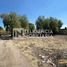  Land for sale in Texcoco, Mexico, Texcoco