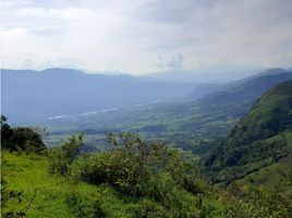  Grundstück zu verkaufen in Fredonia, Antioquia, Fredonia, Antioquia