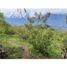  Land for sale in Fredonia, Antioquia, Fredonia