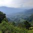  Terrain for sale in Fredonia, Antioquia, Fredonia