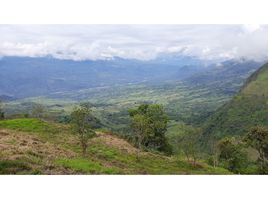  Land for sale in Fredonia, Antioquia, Fredonia