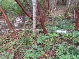  Grundstück zu verkaufen in Jose Azueta, Guerrero, Jose Azueta