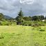  Land for sale in La Ceja, Antioquia, La Ceja