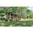 1 Schlafzimmer Haus zu verkaufen in Calovebora, Veraguas, Calovebora, Santa Fe