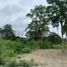  Land for sale in Pedernales, Manabi, Pedernales, Pedernales