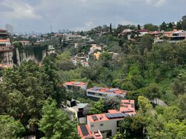 3 Schlafzimmer Appartement zu verkaufen in Naucalpan De Juarez, Mexico, Naucalpan De Juarez, Mexico