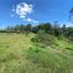  Land for sale in Rionegro, Antioquia, Rionegro