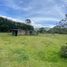  Land for sale in Rionegro, Antioquia, Rionegro