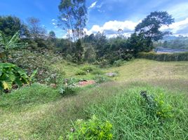  Terreno (Parcela) en venta en Rionegro, Antioquia, Rionegro