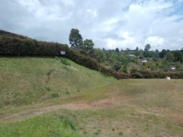  Terreno (Parcela) en venta en Guarne, Antioquia, Guarne