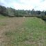  Land for sale in Guarne, Antioquia, Guarne