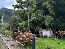  Grundstück zu verkaufen in Jardin, Antioquia, Jardin