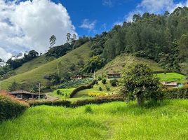  Grundstück zu verkaufen in Jardin, Antioquia, Jardin