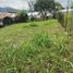  Land for sale in Marinilla, Antioquia, Marinilla