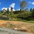 Terrain à vendre à Rionegro, Antioquia, Rionegro, Antioquia