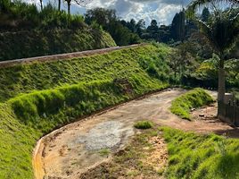  Terreno (Parcela) en venta en Guarne, Antioquia, Guarne