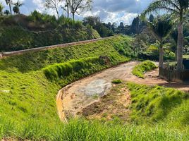  Terreno (Parcela) en venta en Guarne, Antioquia, Guarne