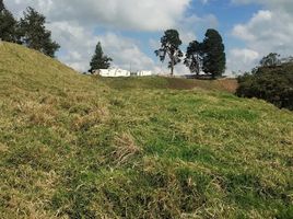  Terreno (Parcela) en venta en La Union De Sucre, Valle Del Cauca, La Union De Sucre