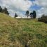  Land for sale in La Union De Sucre, Valle Del Cauca, La Union De Sucre