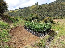  Terreno (Parcela) en venta en La Union De Sucre, Valle Del Cauca, La Union De Sucre