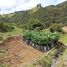  Land for sale in La Union De Sucre, Valle Del Cauca, La Union De Sucre