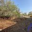  Terreno (Parcela) en venta en Tuxtla Gutierrez, Chiapas, Tuxtla Gutierrez, Chiapas