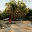  Land for sale in Yaxcaba, Yucatan, Yaxcaba