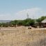  Land for sale in Lagos De Moreno, Jalisco, Lagos De Moreno