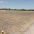  Land for sale in Lagos De Moreno, Jalisco, Lagos De Moreno