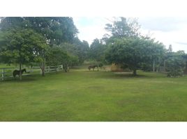 2 Schlafzimmer Villa zu verkaufen in La Chorrera, Panama Oeste, Amador, La Chorrera