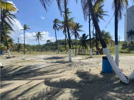 1 Schlafzimmer Appartement zu verkaufen in Portobelo, Colon, Maria Chiquita