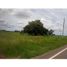  Land for sale in Cocle, Aguadulce, Aguadulce, Cocle